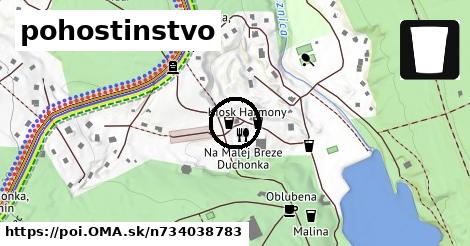 pohostinstvo