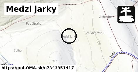 Medzi jarky