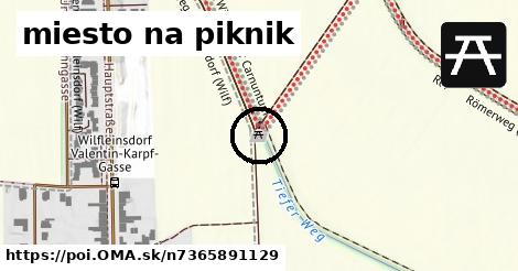 miesto na piknik
