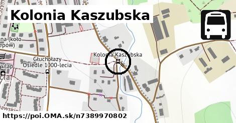 Kolonia Kaszubska