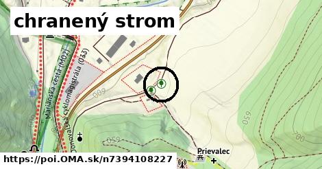 chranený strom