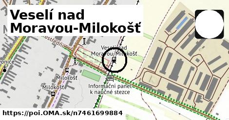 Veselí nad Moravou-Milokošť