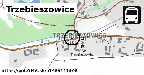 Trzebieszowice