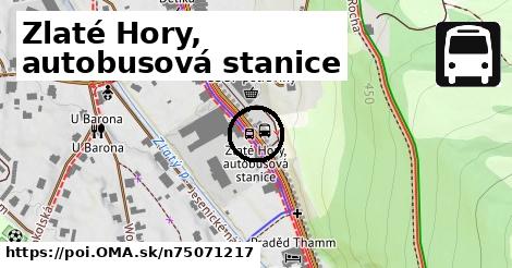 Zlaté Hory, autobusová stanice