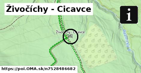 Živočíchy - Cicavce