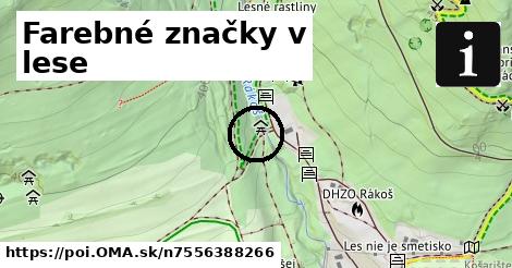 Farebné značky v lese