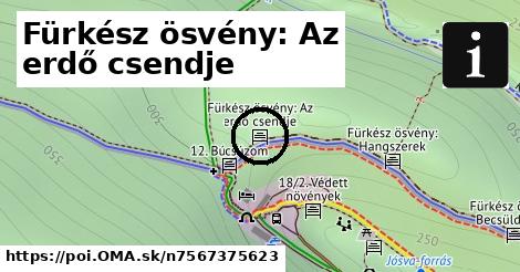 Fürkész ösvény: Az erdő csendje