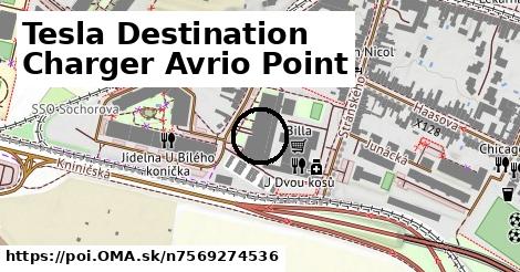 Tesla Destination Charger Avrio Point