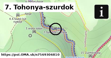 7. Tohonya-szurdok