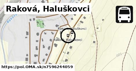 Raková, Haluškovci