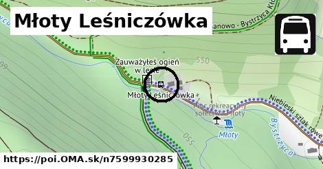 Młoty Leśniczówka