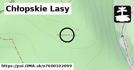 Chłopskie Lasy