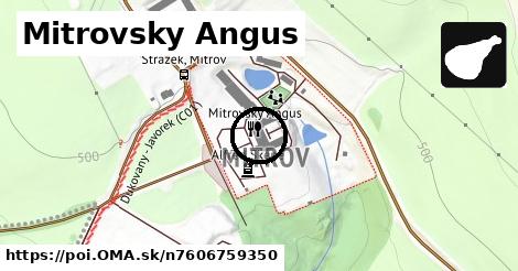 Mitrovsky Angus