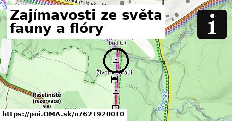 Zajímavosti ze světa fauny a flóry