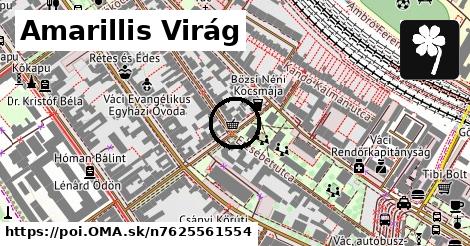 Amarillis Virág