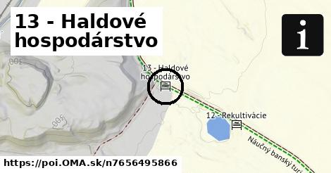 13 - Haldové hospodárstvo