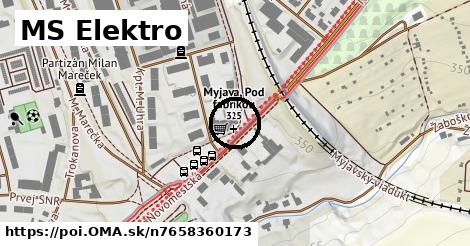 MS Elektro