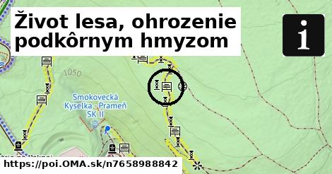 Život lesa, ohrozenie podkôrnym hmyzom