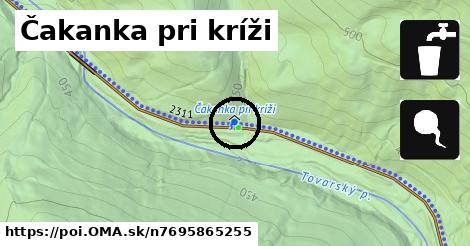 Čakanka pri kríži