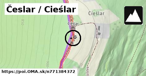 Česlar / Cieślar