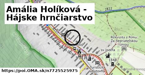 Amália Holíková - Hájske hrnčiarstvo