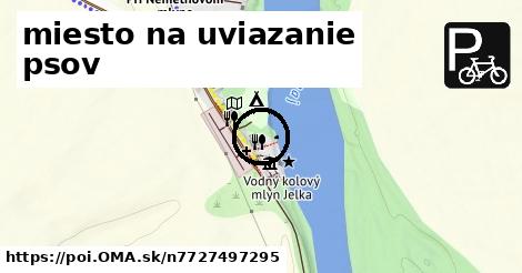 miesto na uviazanie psov