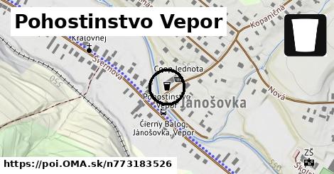 Pohostinstvo Vepor