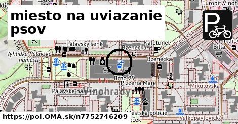 miesto na uviazanie psov