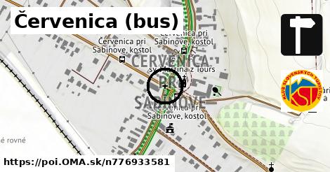 Červenica (bus)