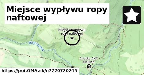 Miejsce wypływu ropy naftowej