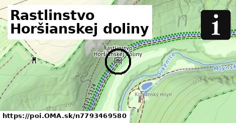 Rastlinstvo Horšianskej doliny