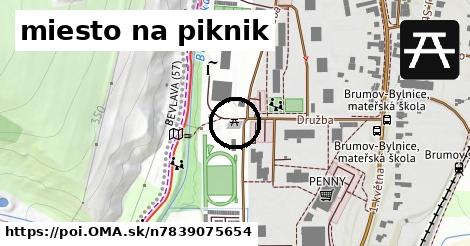 miesto na piknik