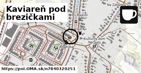 Kaviareň pod brezičkami