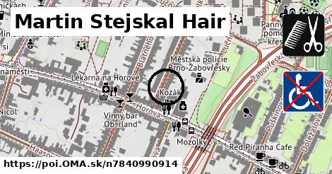 Martin Stejskal Hair