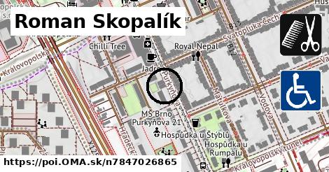 Roman Skopalík
