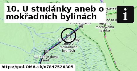 10. U studánky aneb o mokřadních bylinách