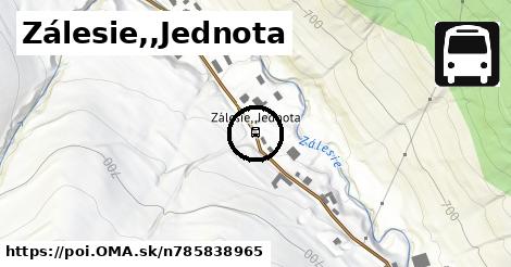 Zálesie,,Jednota