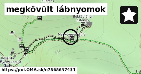 megkövült lábnyomok