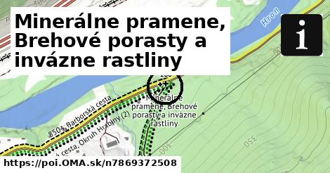 Minerálne pramene, Brehové porasty a invázne rastliny