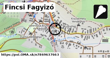 Fincsi Fagyizó