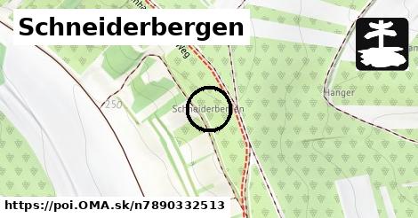Schneiderbergen