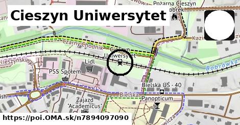 Cieszyn Uniwersytet