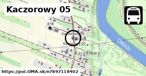 Kaczorowy 05