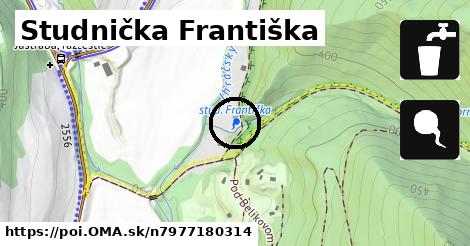 Studnička Františka