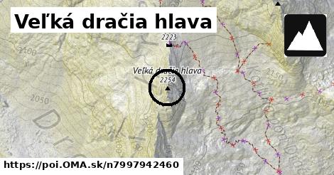 Veľká dračia hlava