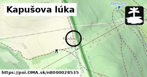 Kapušova lúka