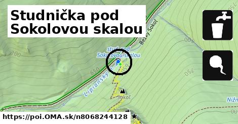 Studnička pod Sokolovou skalou