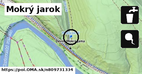 Mokrý jarok