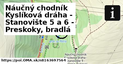 Náučný chodník Kyslíková dráha - Stanovište 5 a 6 - Preskoky, bradlá