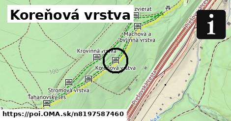 Koreňová vrstva